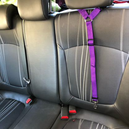 Two-in-one Pet Adjustable Car Seat Belt Leash